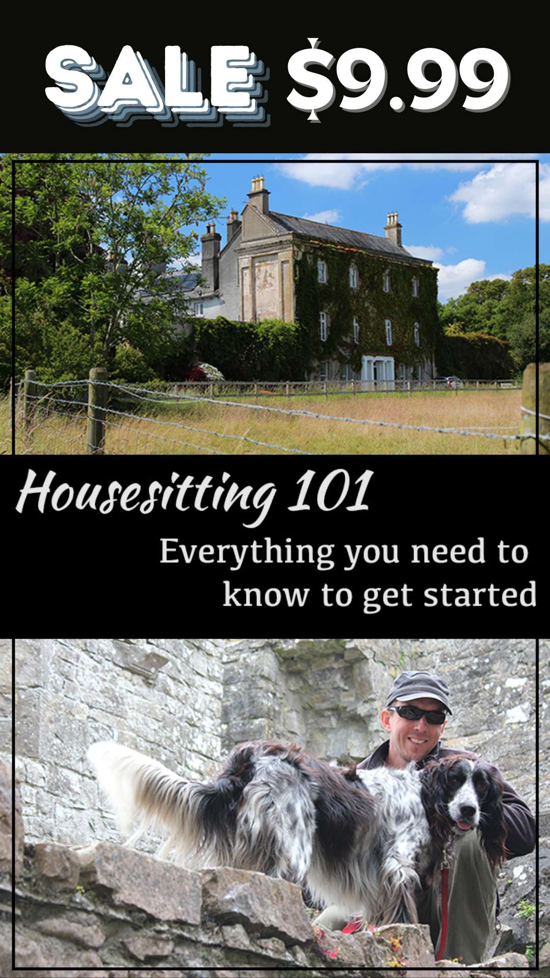 Housesitting-101-ebook-sale