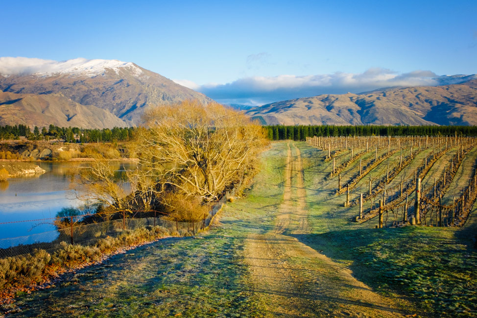 The views at Carrick Winery where we parked our campervan on our New Zealand road trip.