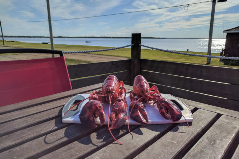 Photos From The Acadian Peninsula Hecktic Travels