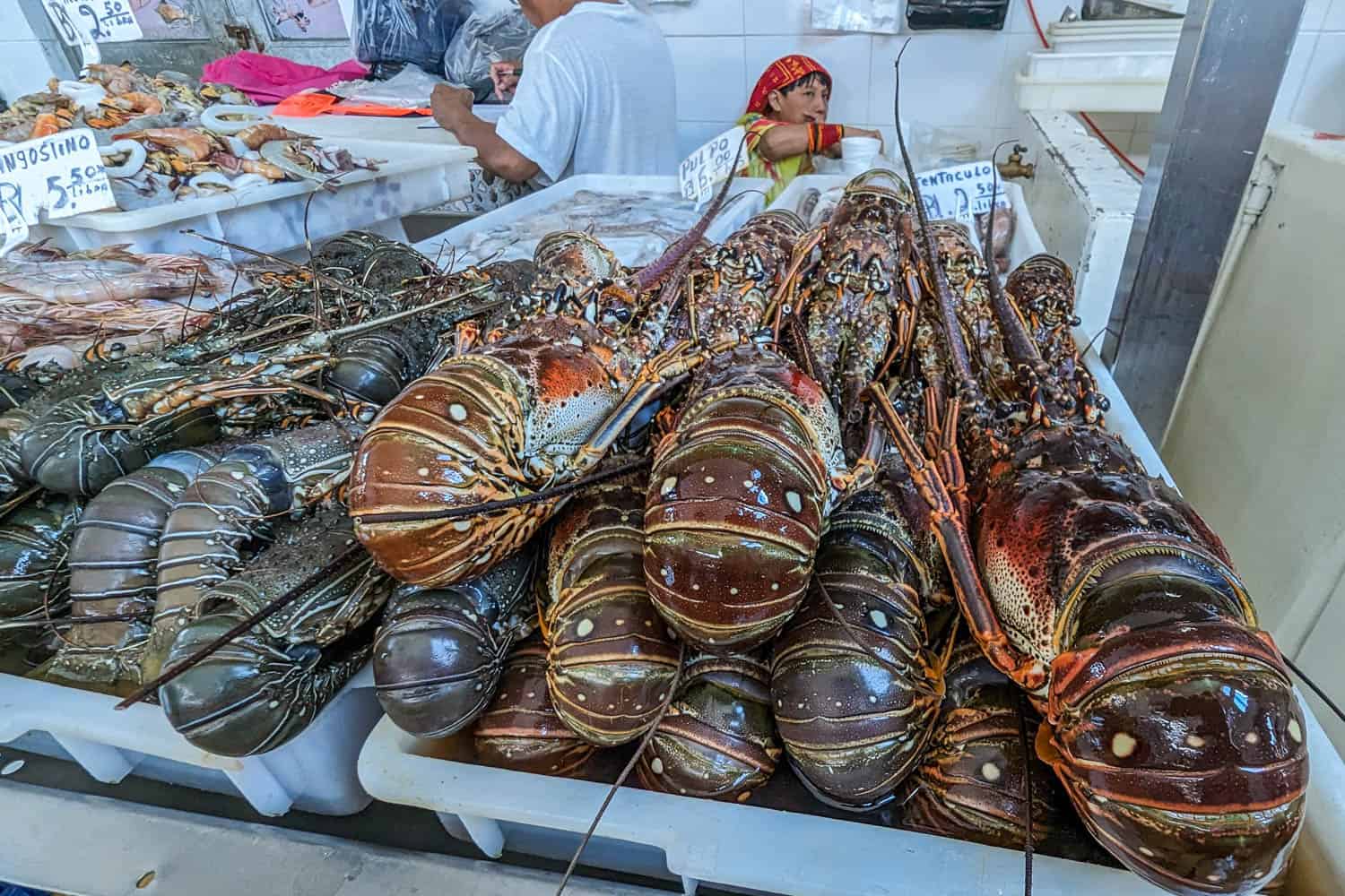 Lobsters at Panama City Seafood Market