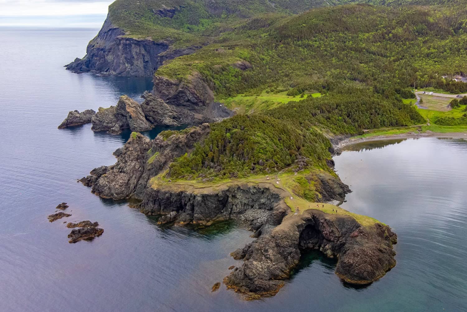 Bottle Cove Aerial