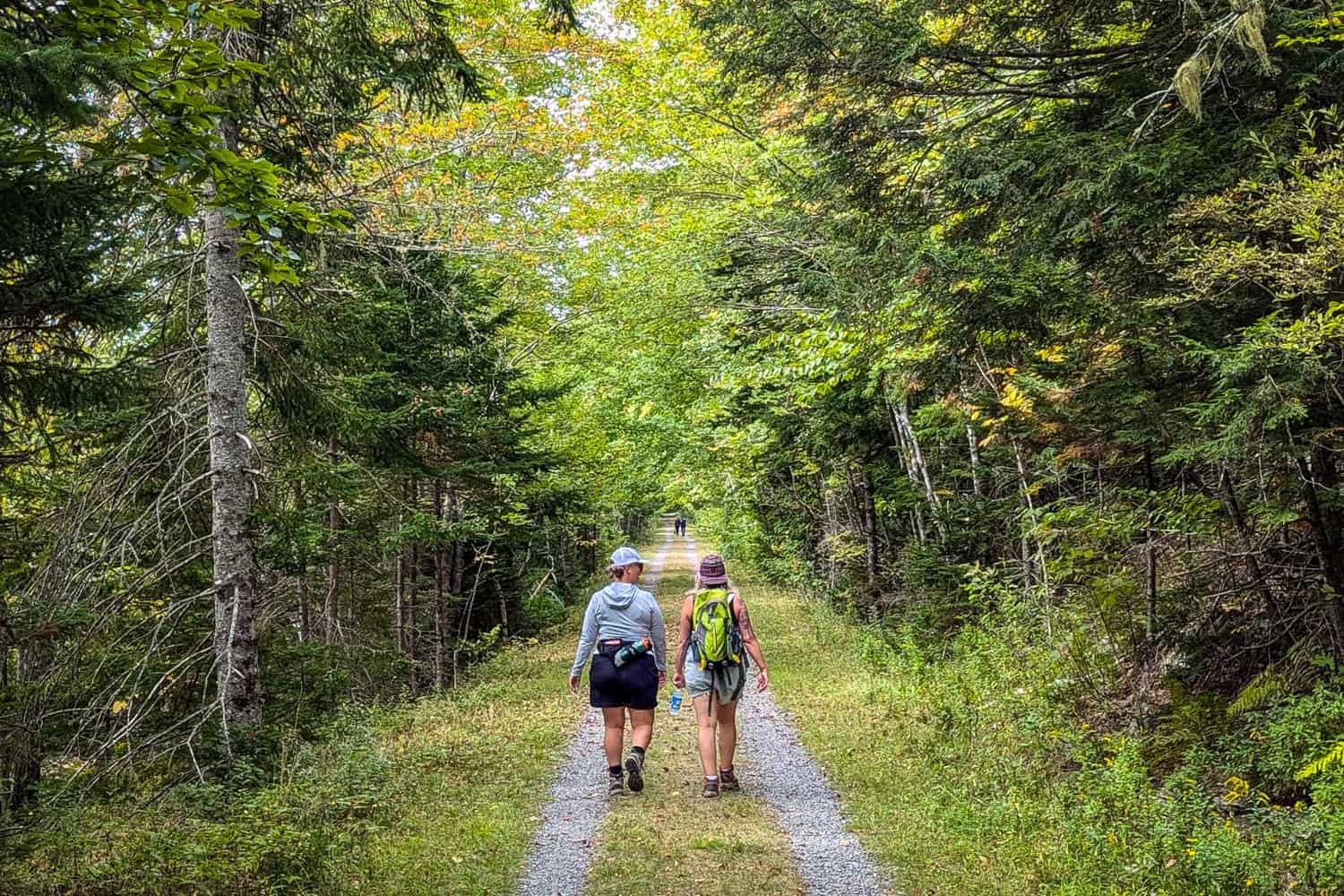 Dalene Hiking Musquodoboit River Trail