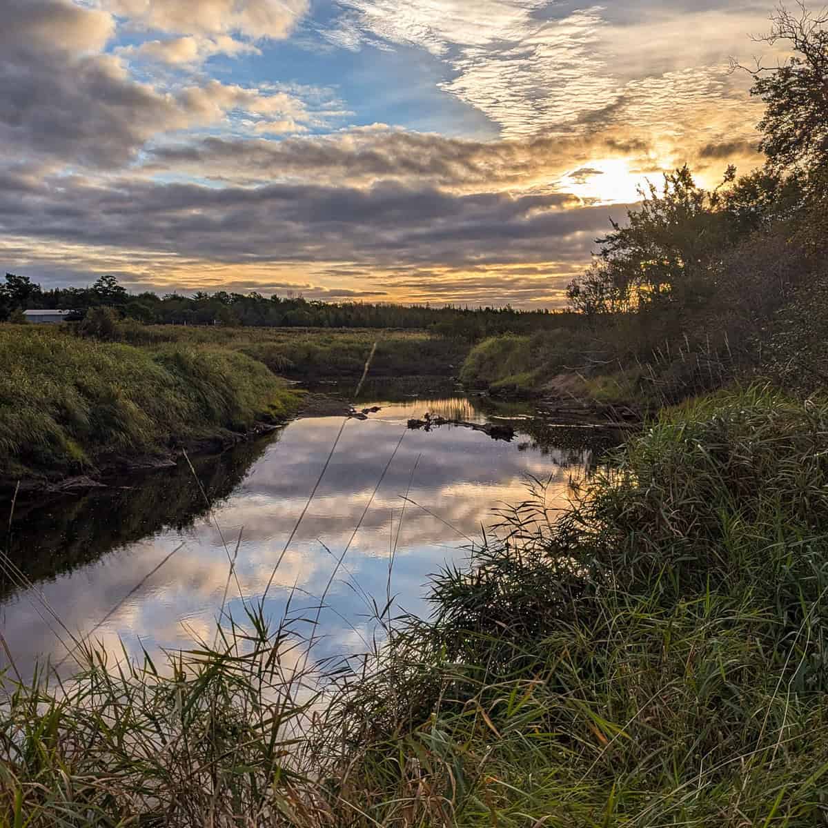 FlowEdge Riverside Getaway Walking Trails in the Musquodoboit Valley