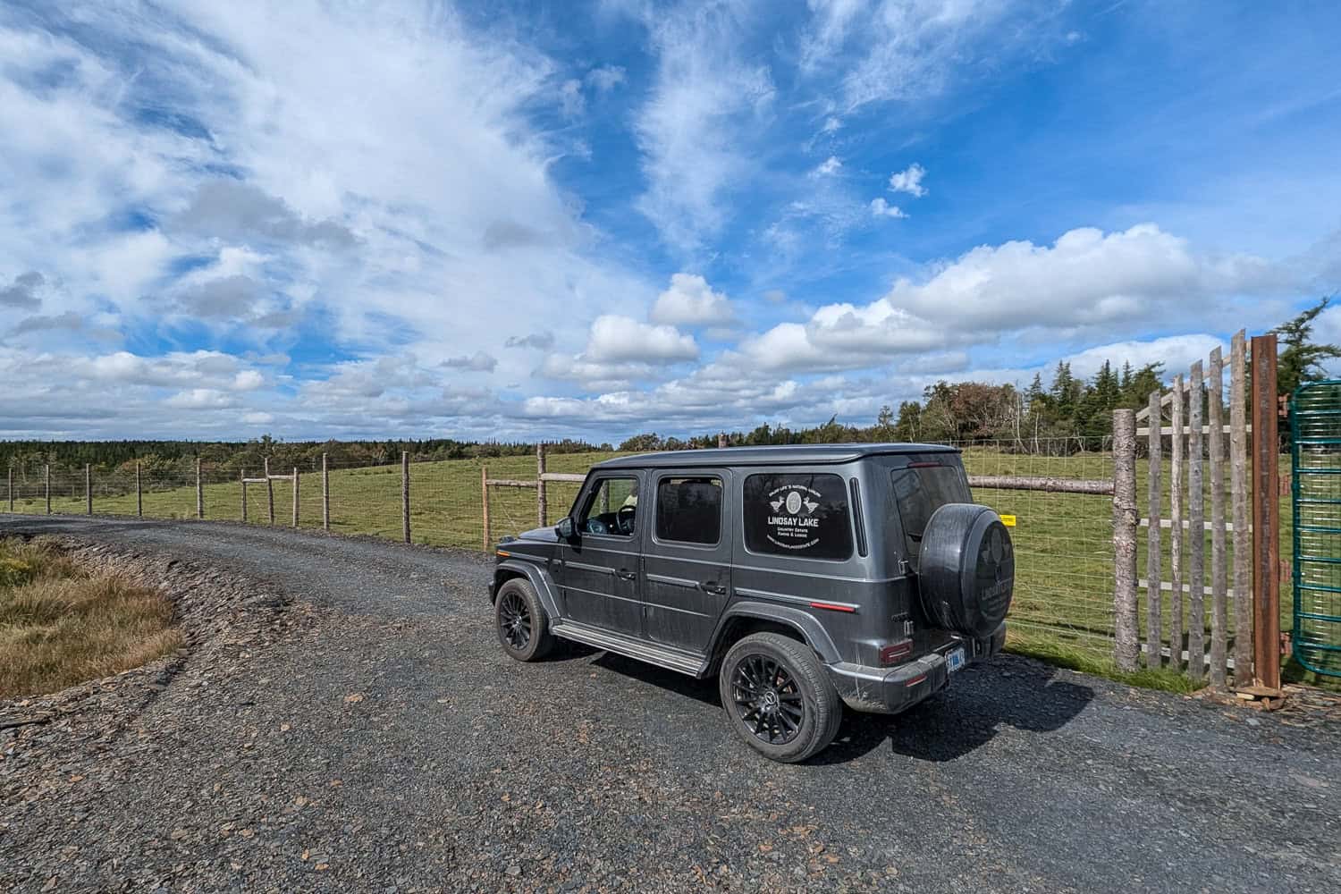 Lindsay Lake Farms Bison Tour