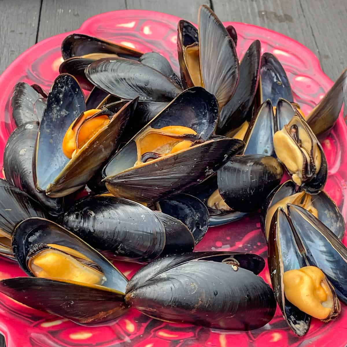 Steamed Mussels