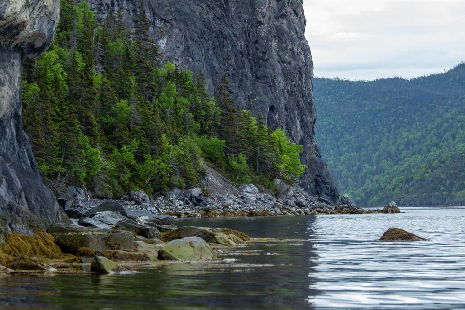 The towering cliffs  in Western Newfoundland