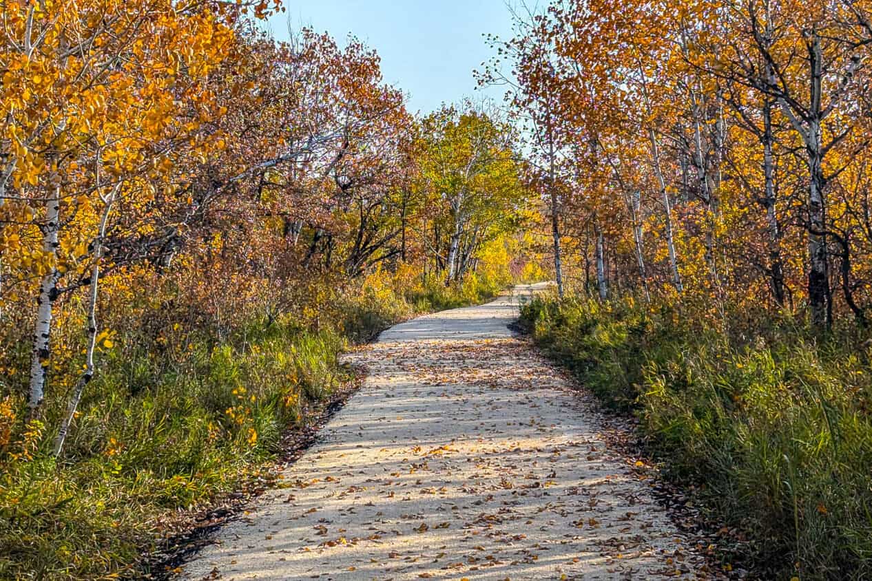 FortWhyte Alive Pathway