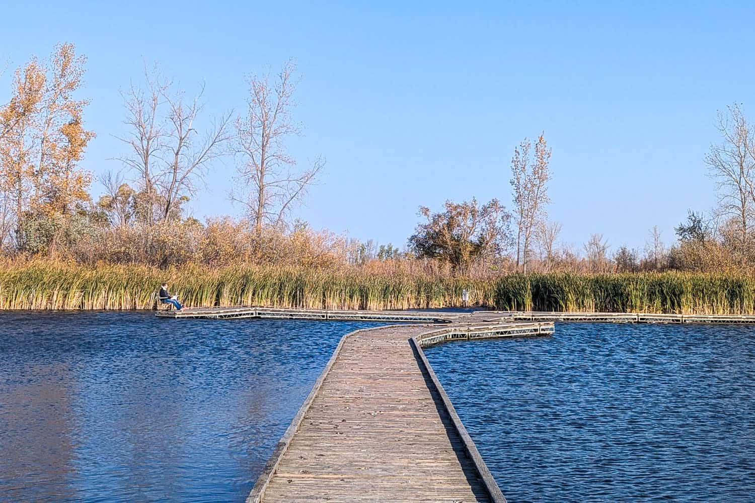 Wetland Boardwalk Trail crosses the water in FortWhyte Alive, Winnipeg