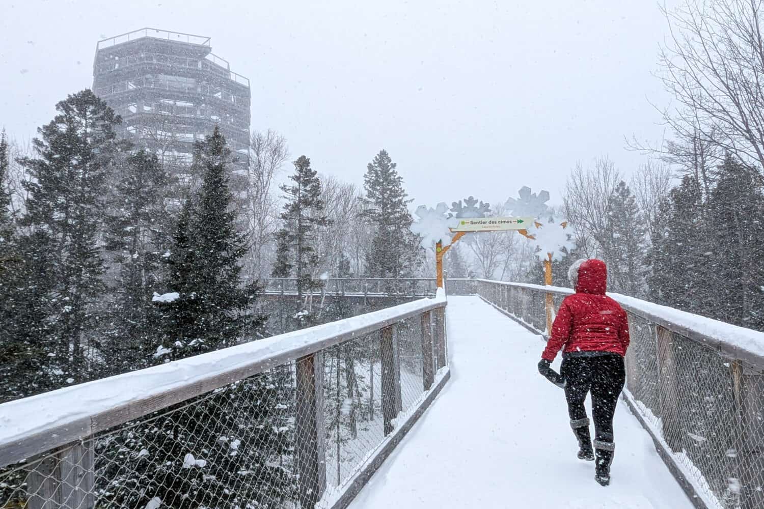 A blizzard on Sentier des Cimes Laurentides